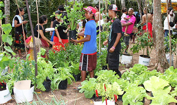 A view of garden produce from a youth group 590-350